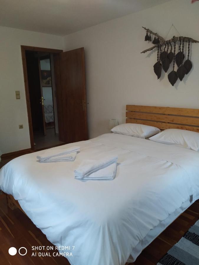 Xenonas Souliou Hotell Samonída Exteriör bild